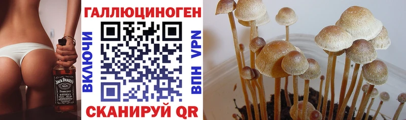 Псилоцибиновые грибы MAGIC MUSHROOMS  shop официальный сайт  Харабали  MEGA зеркало 